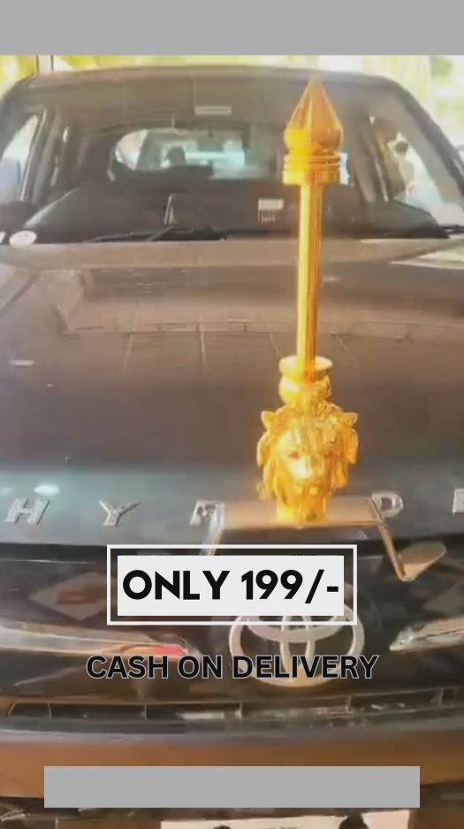🚗 Car Bonnet Hood Ornament – Golden Finish Decorative Emblem for Car Front – Only ₹199/-