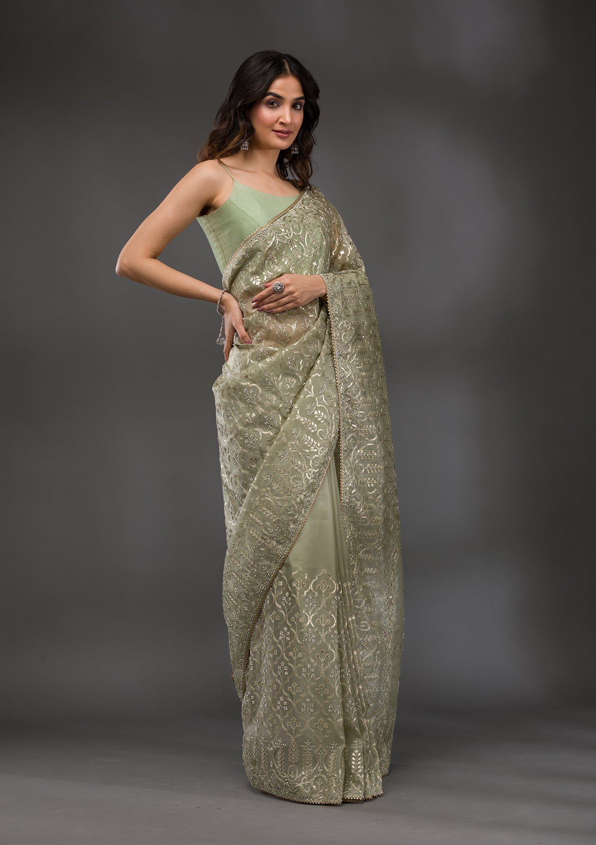 Pista Green Gotapatti Tissue Saree