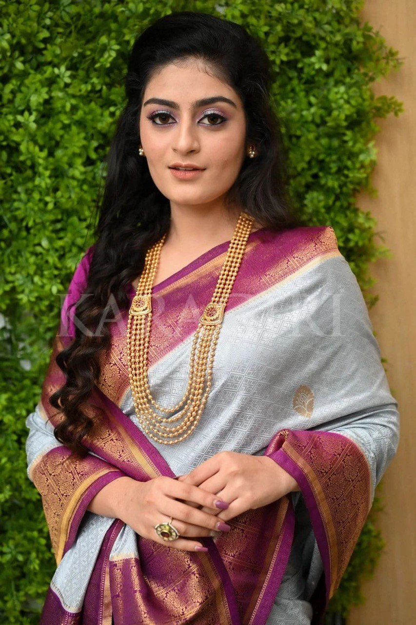 Elegant Grey With Purple Color Soft Banarasi Silk Saree