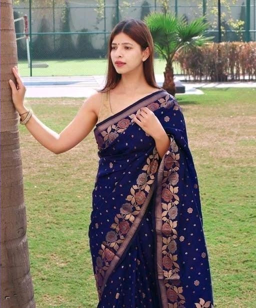Superhit Soft Kanjivaram Banarasi Silk Blue Color Saree
